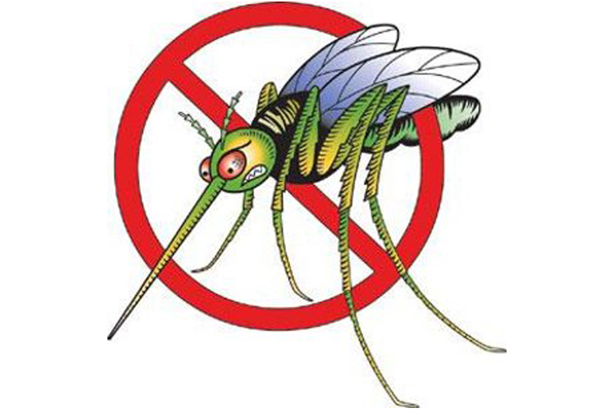stop-zanzara